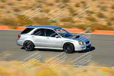 media/Nov-16-2024-Extreme Speed (Sat) [[6587d07cc4]]/Gold Group/Session 3 (The Bowl)/